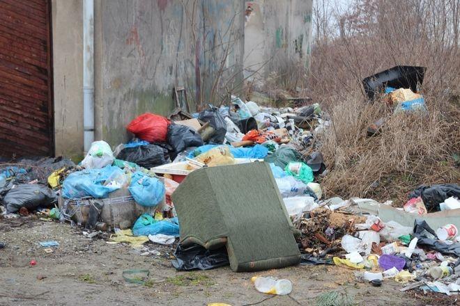 Oto miejsca we Wrocławiu, które toną w śmieciach. Tu jest najgorzej