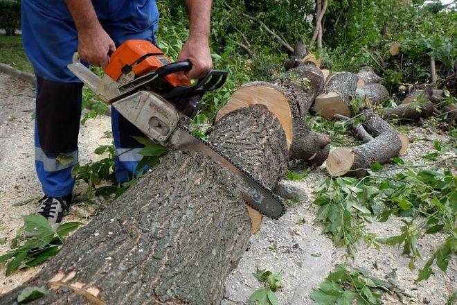 Po nawałnicy miasto wysyła na ulice dodatkowe służby, które odbiorą odpady zielone