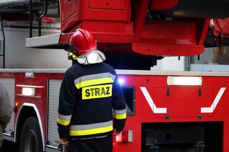 Coś śmierdzi w centrum Wrocławia. Co to?
