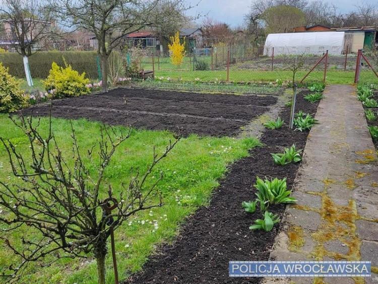 Złodzieje grasują na ogródkach działkowych. Ukradli narzędzia i trampolinę