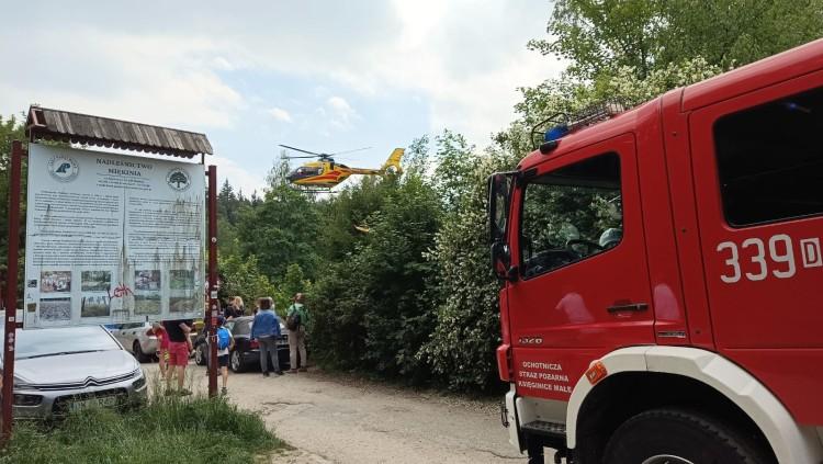 Wypadek na szlaku prowadzącym na Ślężę. Drzewo przygniotło człowieka