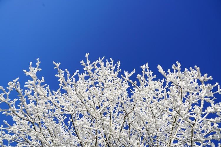 We Wrocławiu spadnie śnieg. Ale nie utrzyma się długo