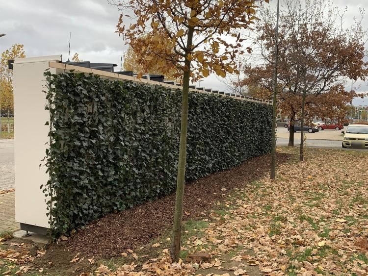 We Wrocławiu stanie ponad 100 nowych paczkomatów. Co na to urzędnicy?