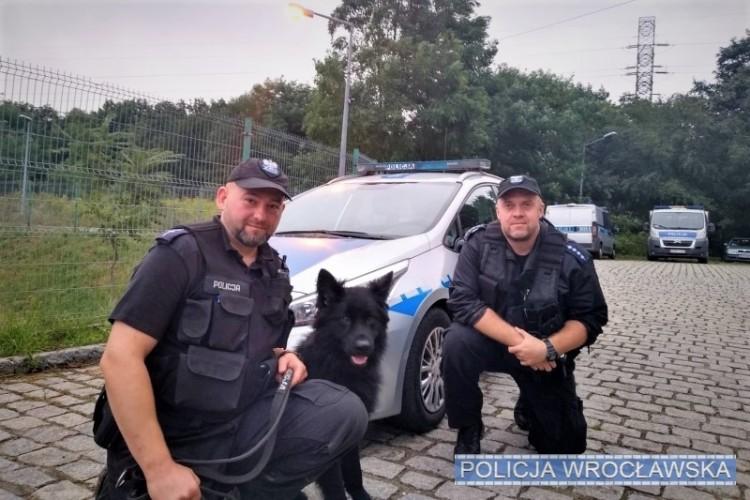 Bohater na 4 łapach. Ten pies uratował 84-latka! [ZDJĘCIA]
