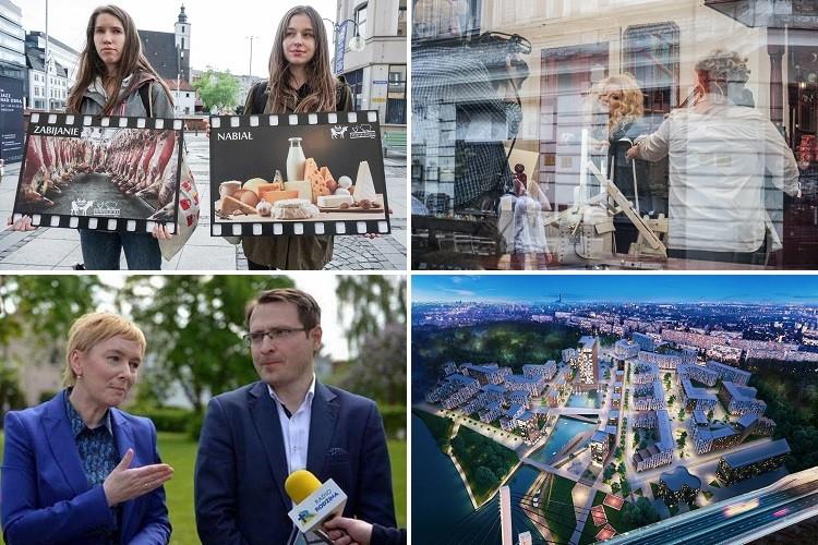 PiS przedstawia kandydatkę w wyborach, rewolucje Magdy Gessler i pożyczka Wrocławia [PODSUMOWANIE DNIA]