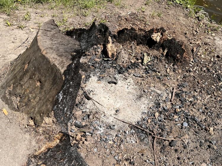 Wrocławskie lasy i parki zamieniły się w wielką imprezownię. Bawią się głównie Ukraińcy