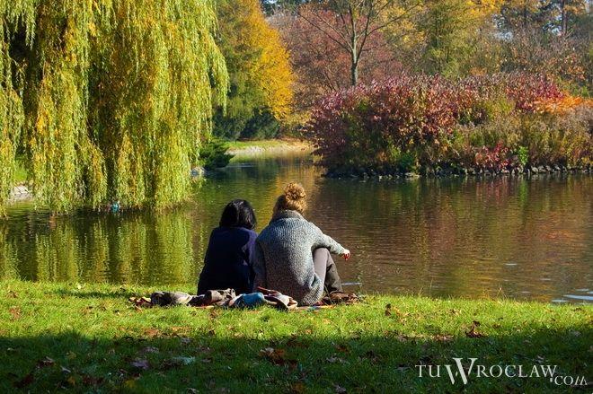 Wrocławskie parki wypełnią się kulturą. Staną tam specjalne, artystyczne pawilony