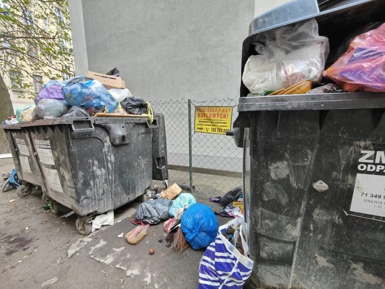 Mieszkańcy Przedmieścia Oławskiego walczą o wiatę na odpady. Sąsiedzi podrzucają im śmieci