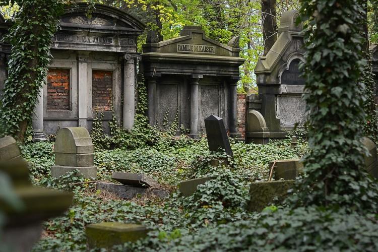 Policyjny pościg na Legnickiej. 45-latek próbował się schować na cmentarzu