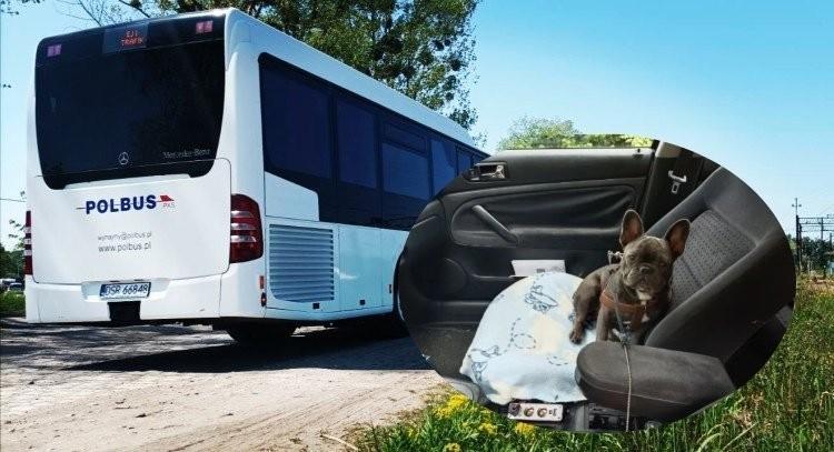 Kierowca Polbusa przejechał psa na oczach dzieci. 