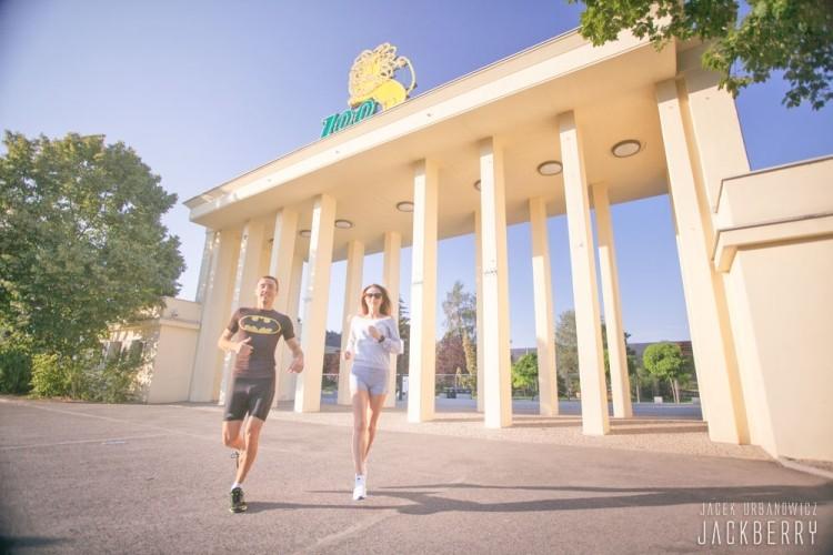 Biegiem przez zoo. Dosłownie. Ruszyły zapisy na Wild Run we Wrocławiu
