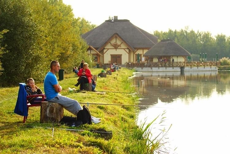 Weekend pod Wrocławiem. W ten weekend ruszają Dni Karpia