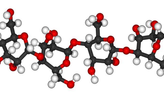 Firmy farmaceutyczne i chemiczne zainteresowane badaniami wrocławskich naukowców 