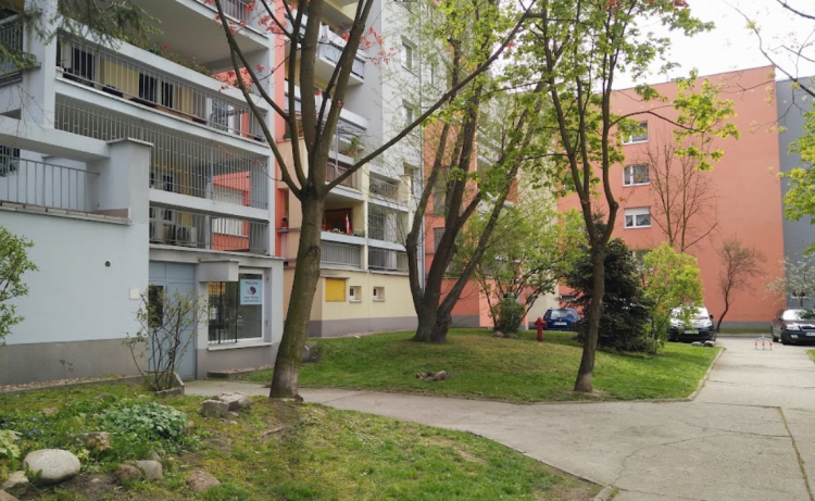 TOP 10 szewców ocenianych najlepiej przez wrocławian