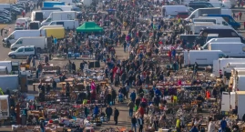 Świebodzki się chowa! Ta sobotnia giełda na Dolnym Śląsku to prawdziwy gigant!