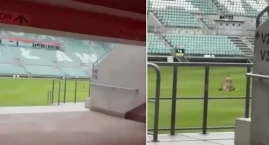 Zrobili to na środku stadionu miejskiego. Sprawa kochanków trafi na policję  