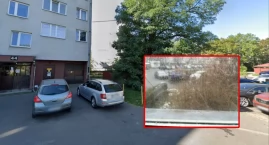 Ktoś terroryzuje mieszkańców Różanki. Strzela z broni w auta i okna 