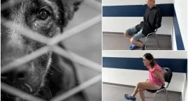 Na 10 lat mają zakaz posiadania zwierząt. To kara za to, co zgotowali psom. Jeden nie przeżył