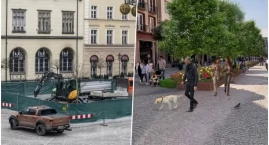 Koparki wjechały na wrocławski Rynek. Ponad sto drzew w ścisłym centrum