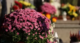 Zmarli we Wrocławiu - pogrzeby zaplanowane na 11.07.&hellip;