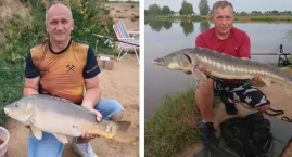 Dwa rekordowe okazy! Takie ryby można łowić na Dolnym Śląsku