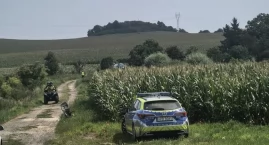 Dwulatek wbiegł w pole kukurydzy i… zniknął. Dramaty&hellip;