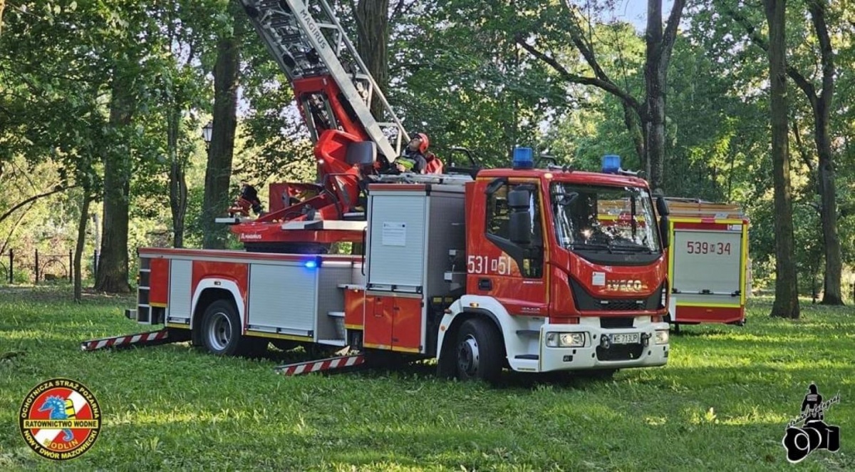 Nowy Dwór Mazowiecki. Przechylony konar drzewa nad placem zabaw. Strażacy interweniowali przy Parku Trzech Kultur