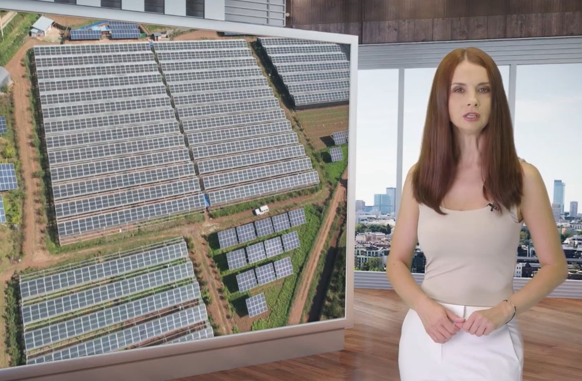 Informacje z Mazowsza 24 lipca 2024 roku