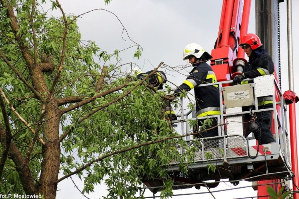 Czosnów. W Łomnej złamany konar drzewa spadł na teren kościoła. Niezbędna okazała się pomoc strażaków, którzy usunęli uszkodzone drzewo