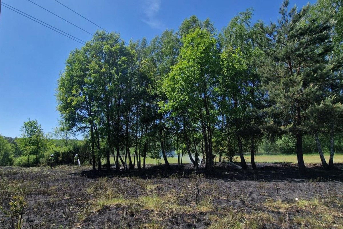 Leoncin. Pożar traw w Krubiczewie. Spłonęło pół hektara nieużytków
