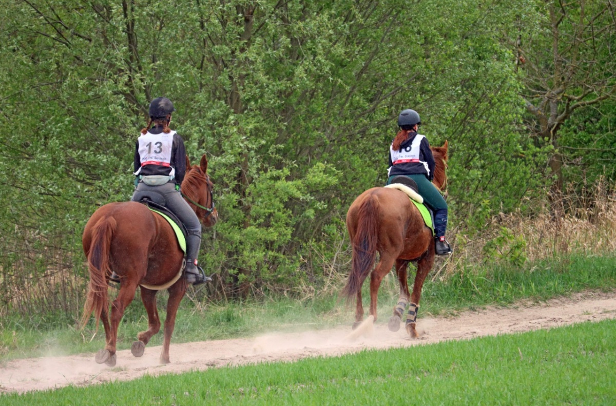 X Bieg Świętego Jerzego. Sportowa rywalizacja i piknik rodzinny