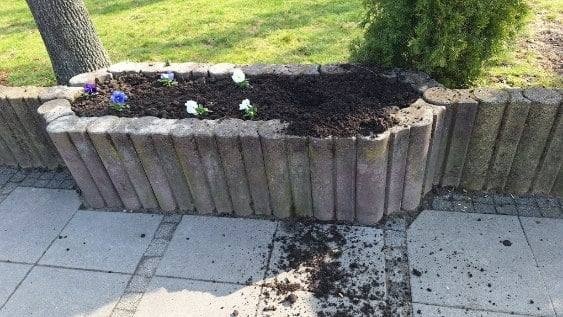Nowy Dwór Mazowiecki. Bratki łupem złodziei, przystanki celem wandali