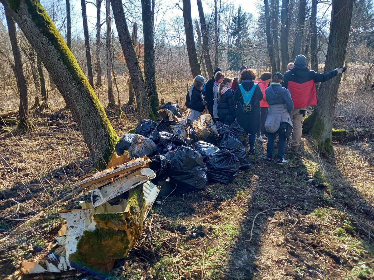 Co w Puszczy można znaleźć oprócz ciekawostek przyrodniczych?