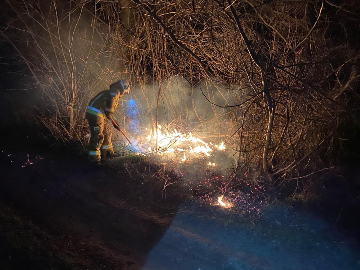Leoncin. Pożar trawy i gałęzi nad Wisłą w Nowych Grochalach