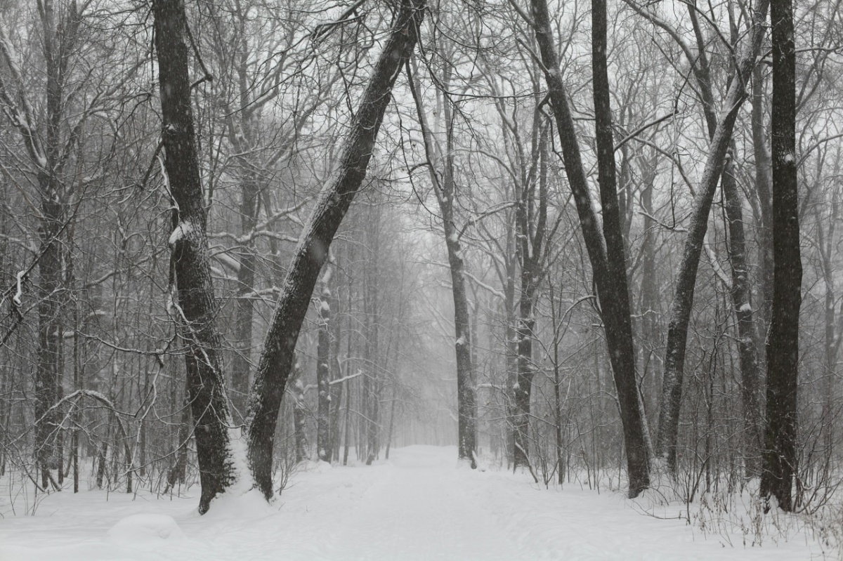 Powiat. W weekend temperatury od -1°C do 2°C. W sobotę sypnie śniegiem