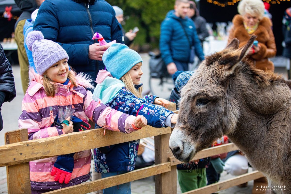 Spotkanie świąteczne w Czosnowie [FOTORELACJA]