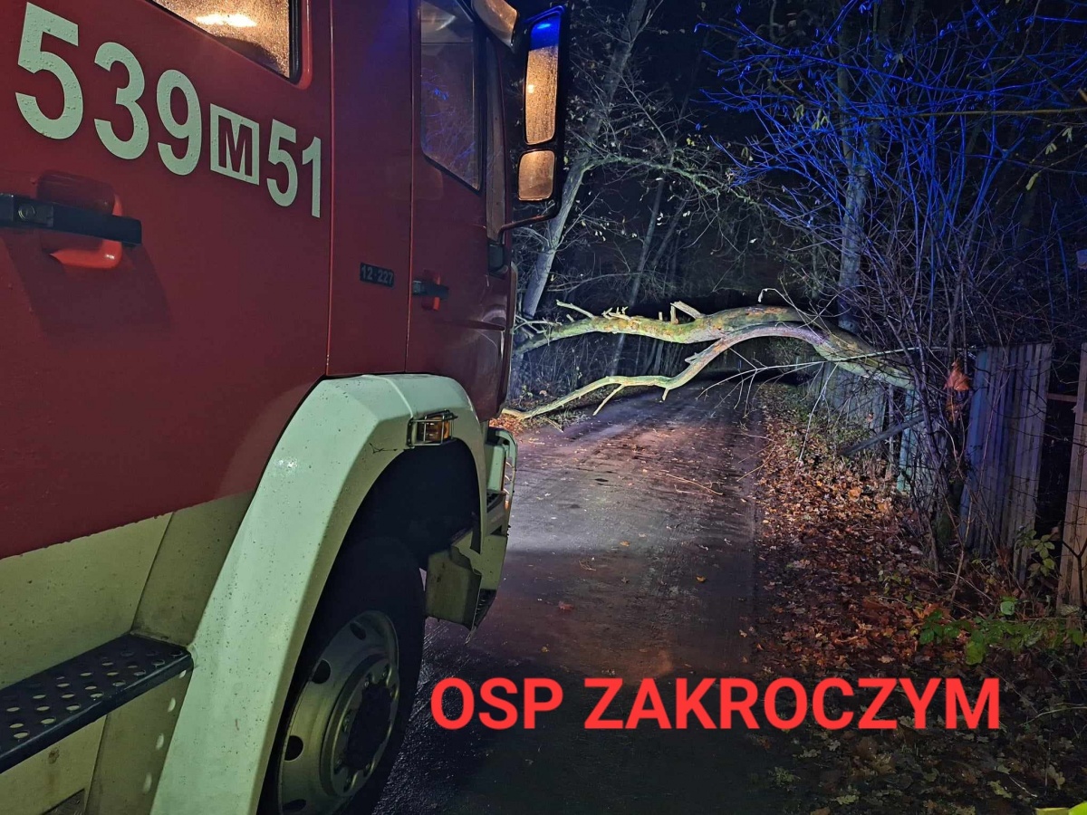 Porywisty wiatr łamał drzewa jak zapałki. Strażacy mieli pełne ręce roboty