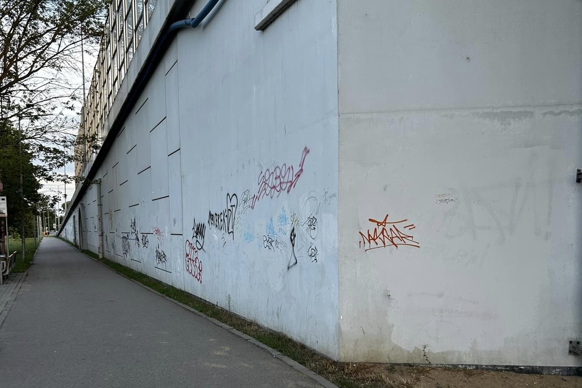 Nowy Dwór Mazowiecki. Zielona inicjatywa poprawy wizerunku przy dworcu PKP. Realna szansa czy utopia?