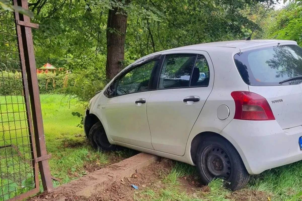 Pomiechówek. Samochód osobowy wjechał w drzewo. Kierowca zasnął za kierownicą