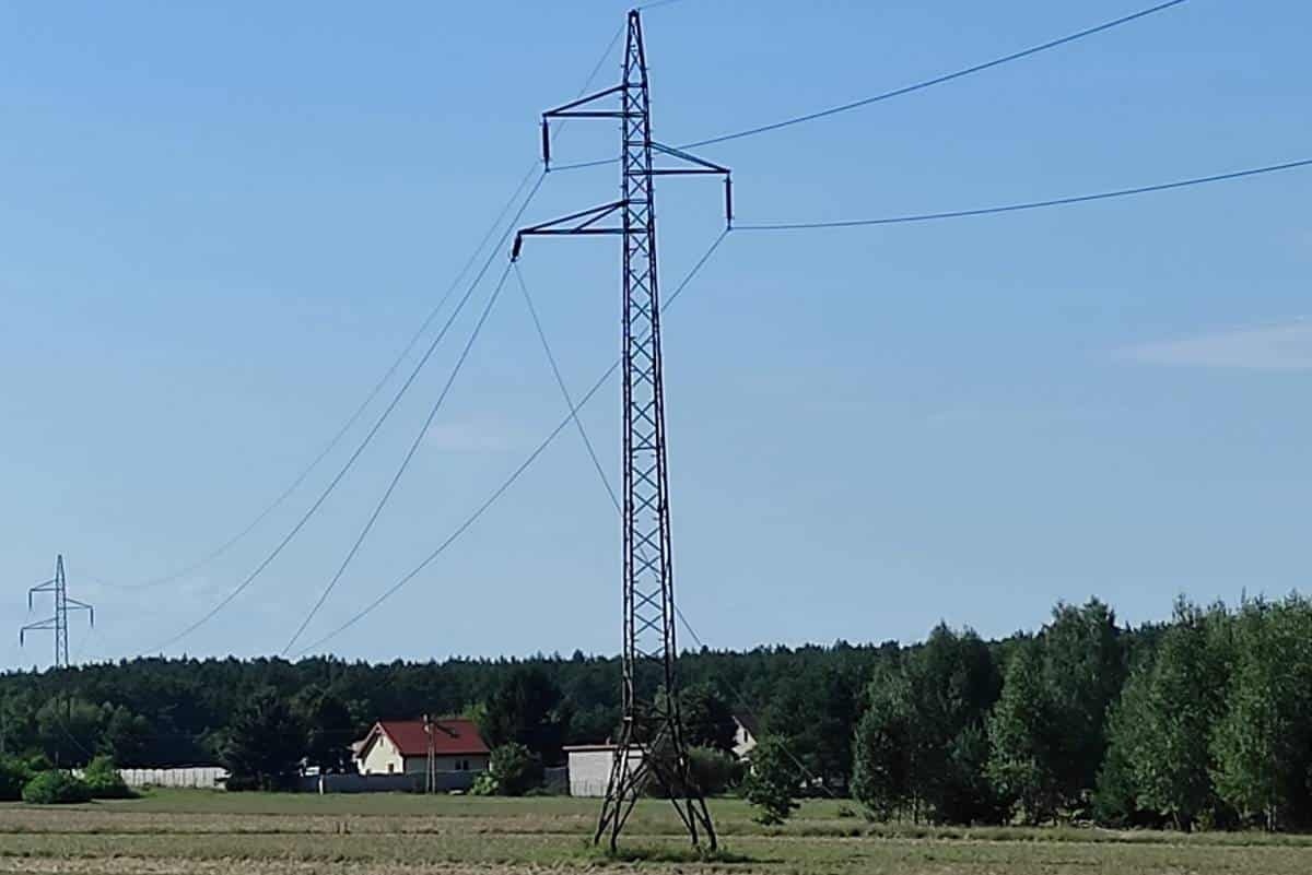 Nasielsk. W Krogulach przez awarię linii energetycznej spłonęło 5 tys. metrów kwadratowych rżyska
