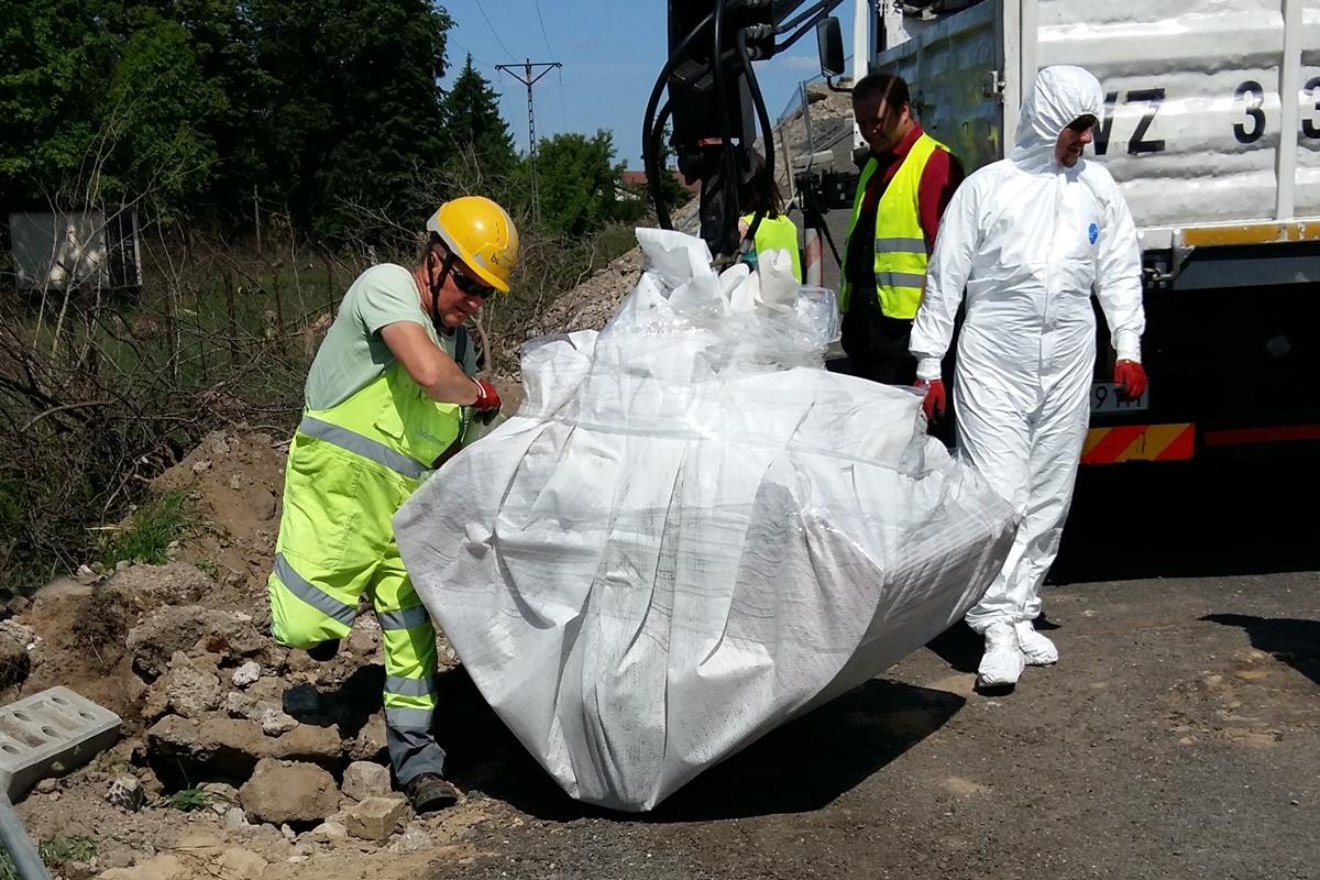 Nietypowe znalezisko na terenie budowy S7 Płońsk – Czosnów. Potrzebny był myrmekolog
