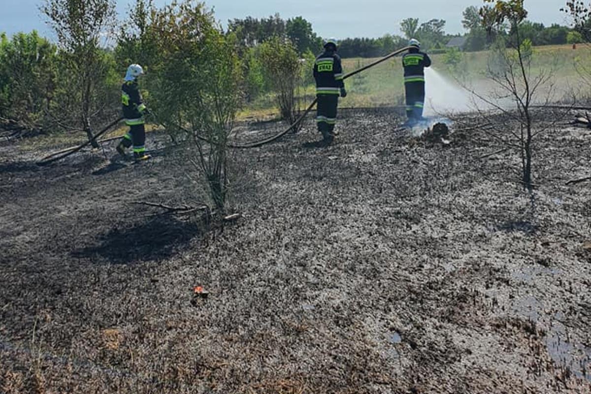 Wybuchają liczne pożary. Pracowity dzień nowodworskich strażaków