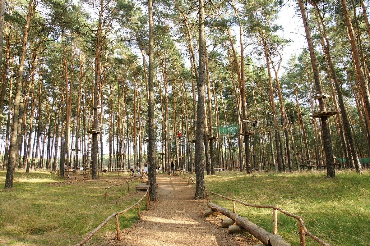 Nowy Dwór Mazowiecki. Park linowy w Twierdzy Modlin? Jest petycja