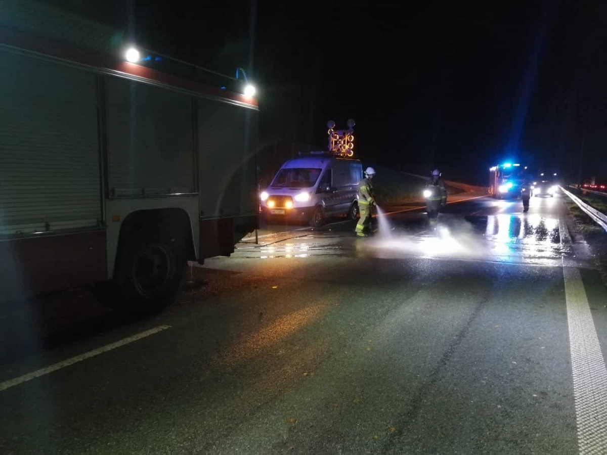 Zakroczym. Groźna kolizja na DK7. Zderzenie trzech samochodów z łosiem