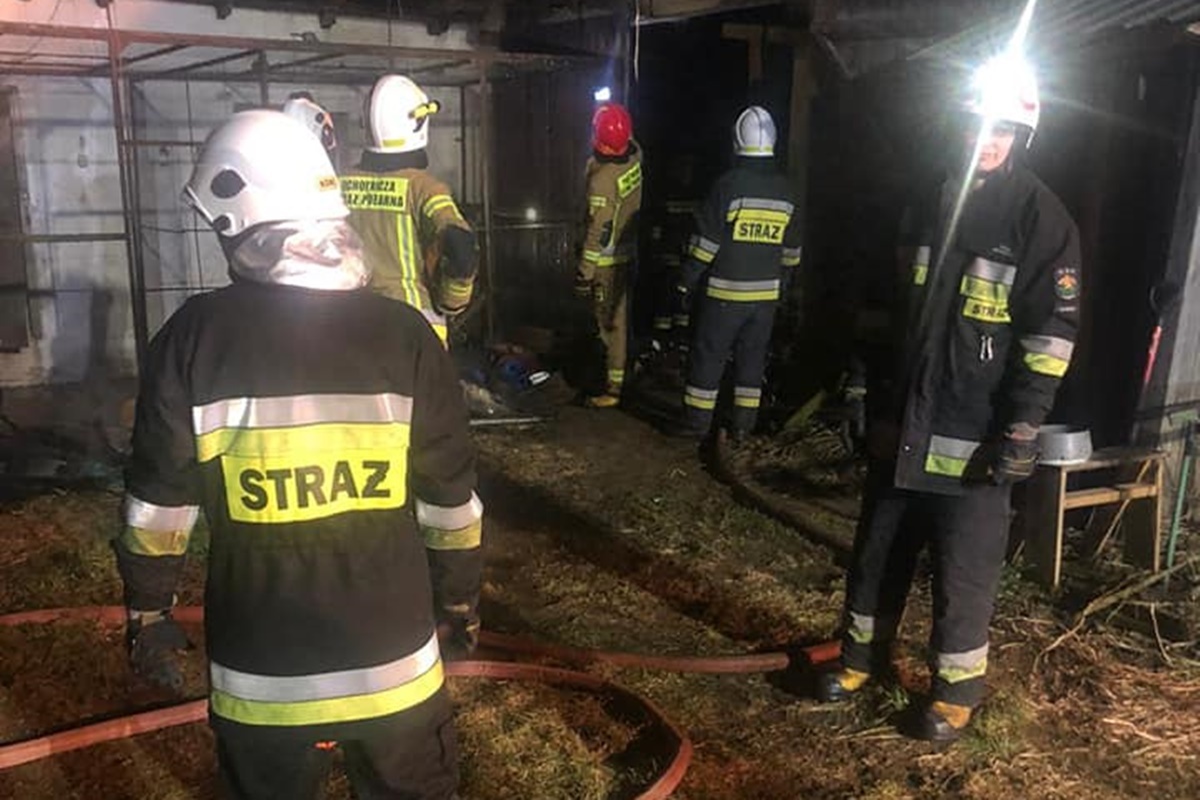 Leoncin. W Nowym Polesiu zapaliła się suszarnia drzewa