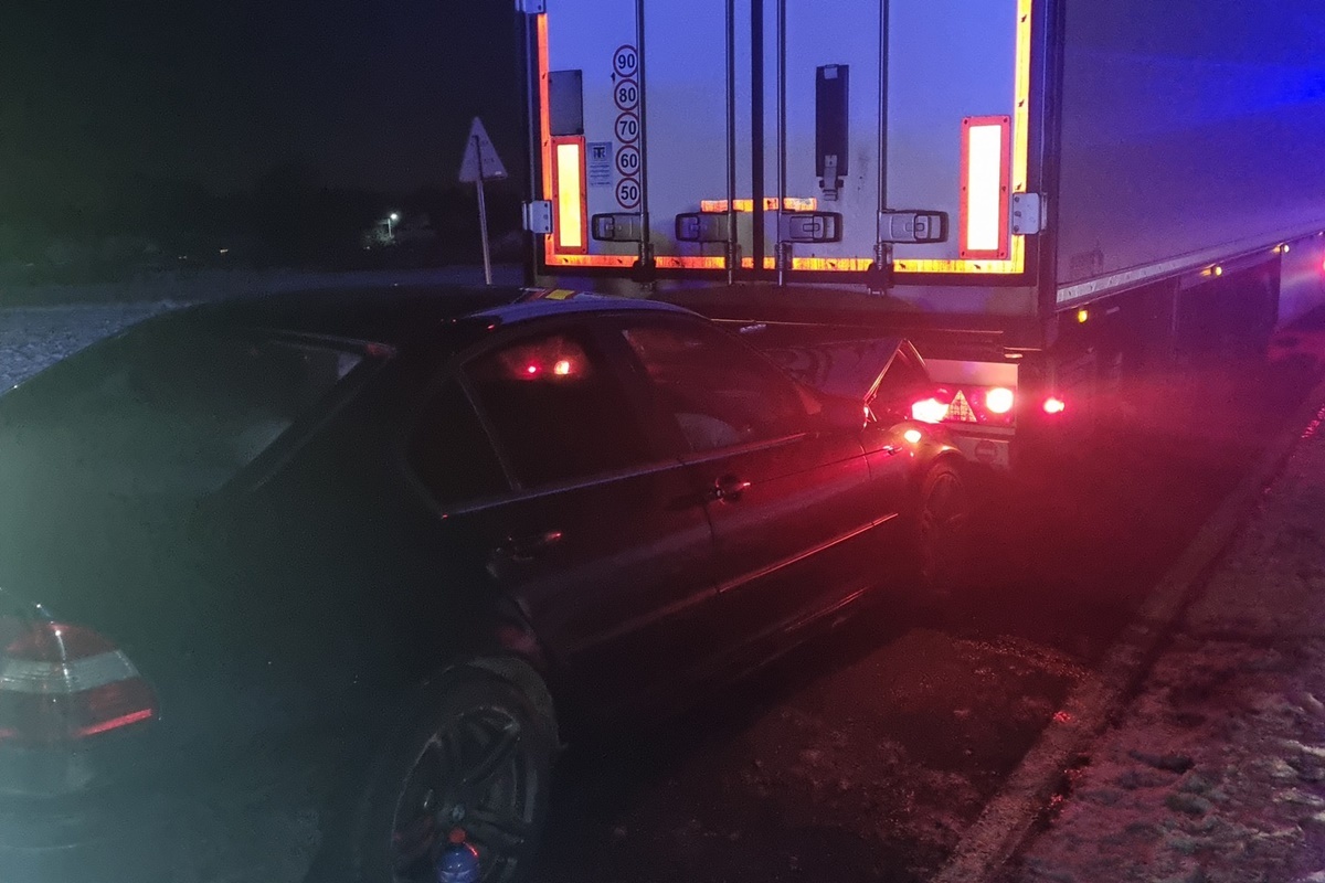 Wypadek z udziałem trzech samochodów i łosia. Pasażerka BMW trafiła do szpitala