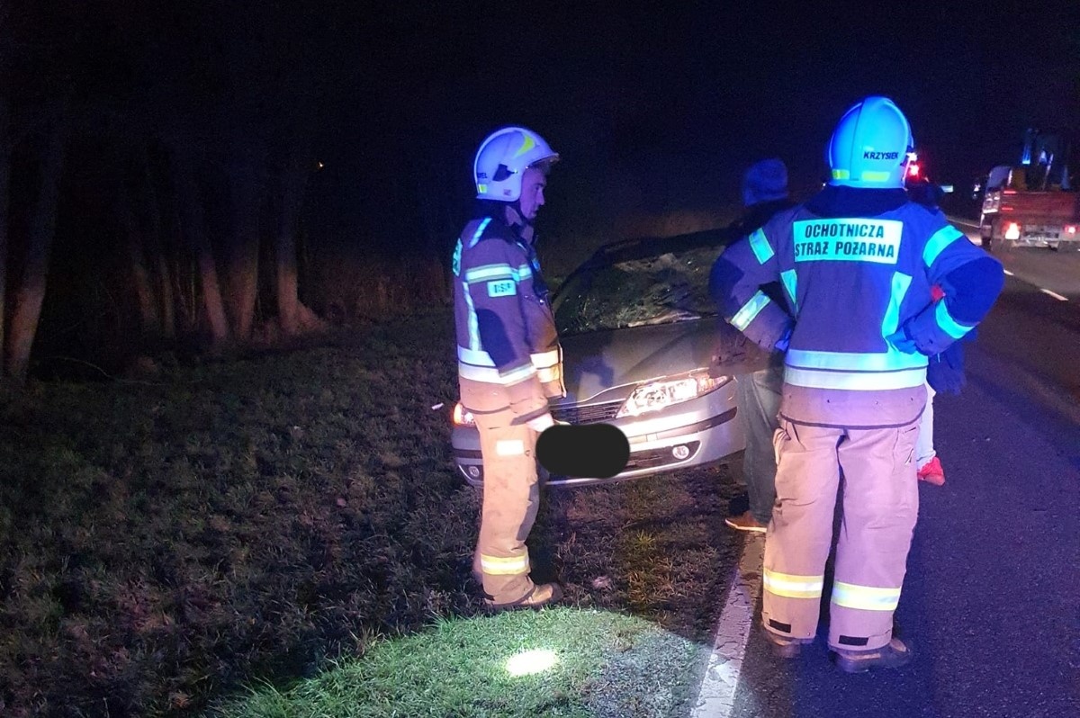 Czosnów. Zderzenie samochodu osobowego z łosiem w Sowiej Woli na DW 579. Zwierzę uciekło do lasu