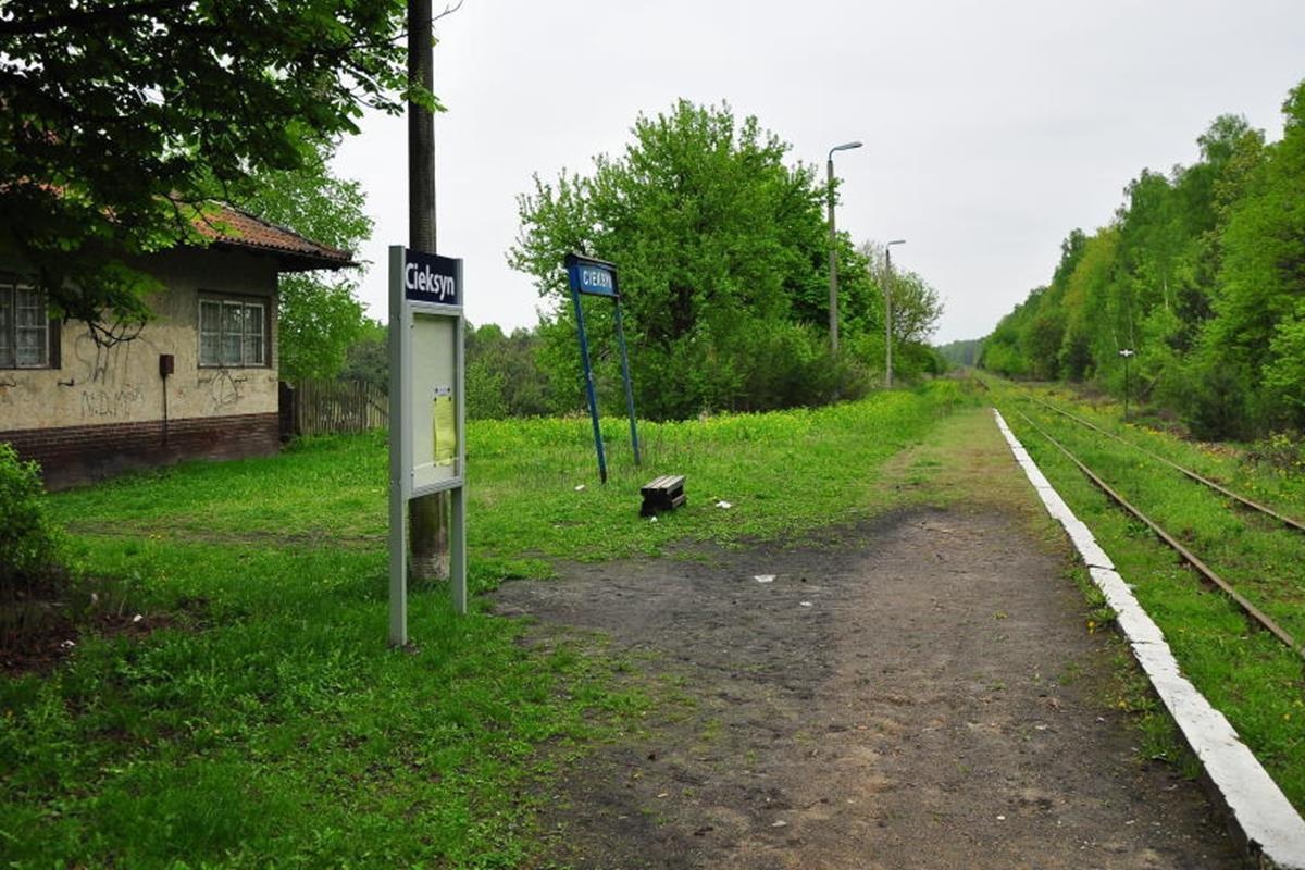 Nasielsk. Nieznany sprawca podłożył gałęzie na torach w Cieksynie. Doszło do unieruchomienia pociągu