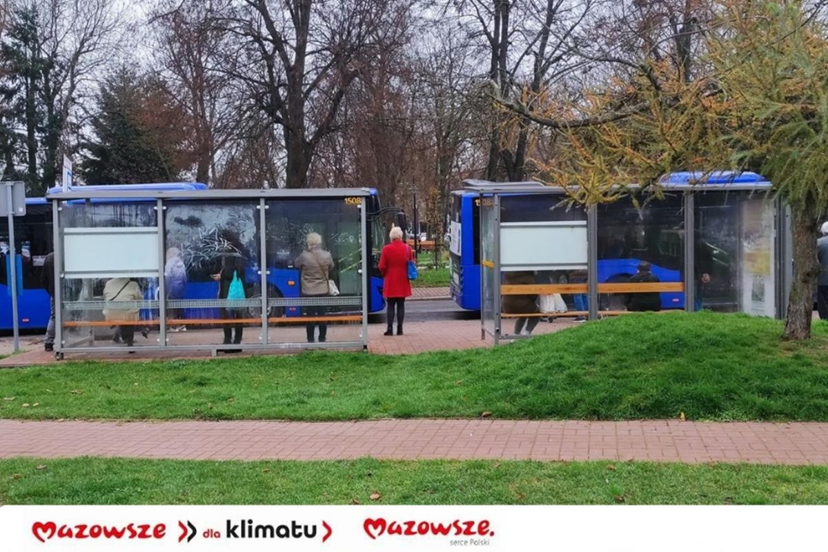 Nowy Dwór Mazowiecki. W mieście będzie bardziej zielono. 64 tys. zł na „zielone przystanki” i 50 tys. zł na drzewa i krzewy