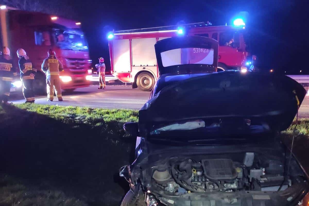 Czosnów. Dwie kolizje na DK7 w Palmirach. Martwy łoś i auto w rowie
